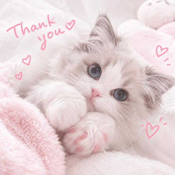 ありがとう💗