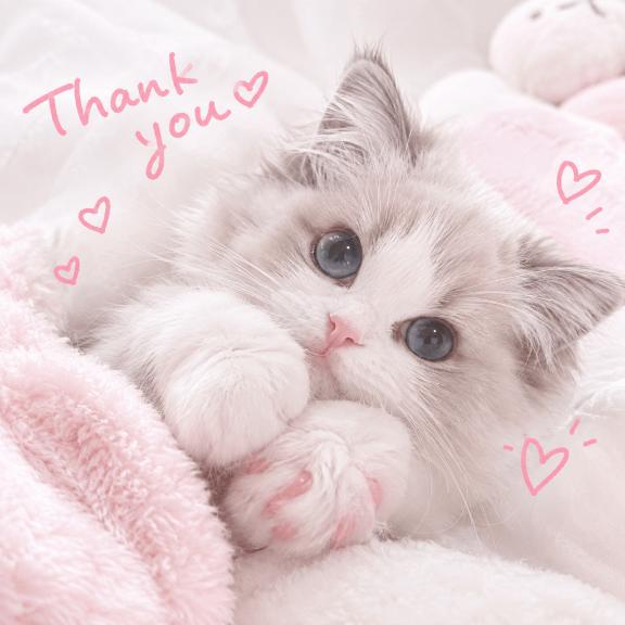 お礼💌