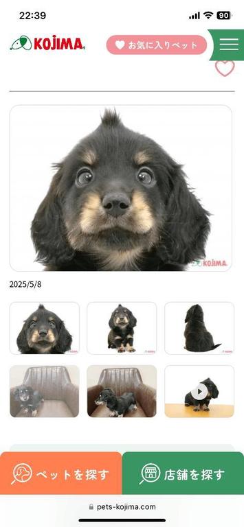 写メ日記サムネイル