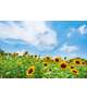 こんにちわ！