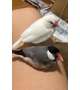 【お礼写メ日記】