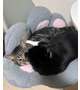 子離れという概念は存在しない🐈‍⬛
