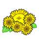 🌻