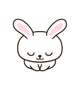 🐰腸内環境整えがちのうさみ🐰