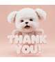 thx♡