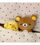 9月は🐻💗