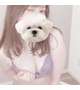 いつだって♡