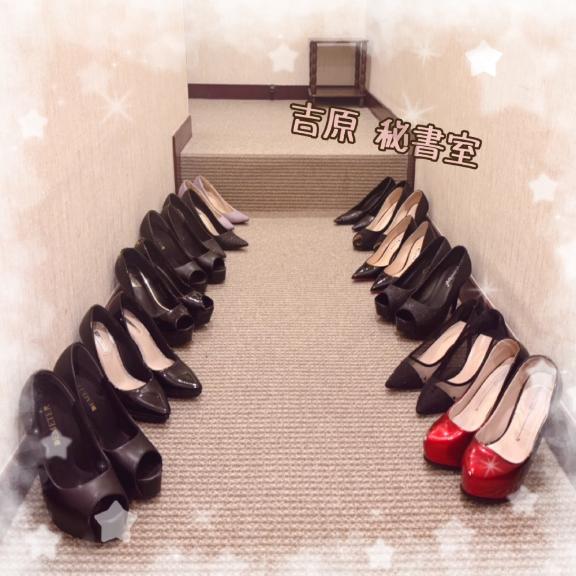 豪華12♡輪❣️（3/18）