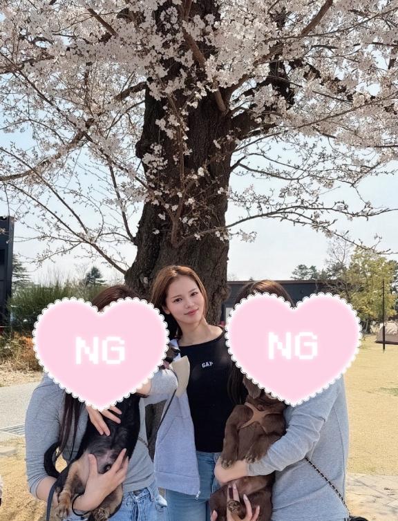 ４月スタート🌸