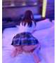 可愛すぎて困る！💌