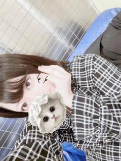 きょ！