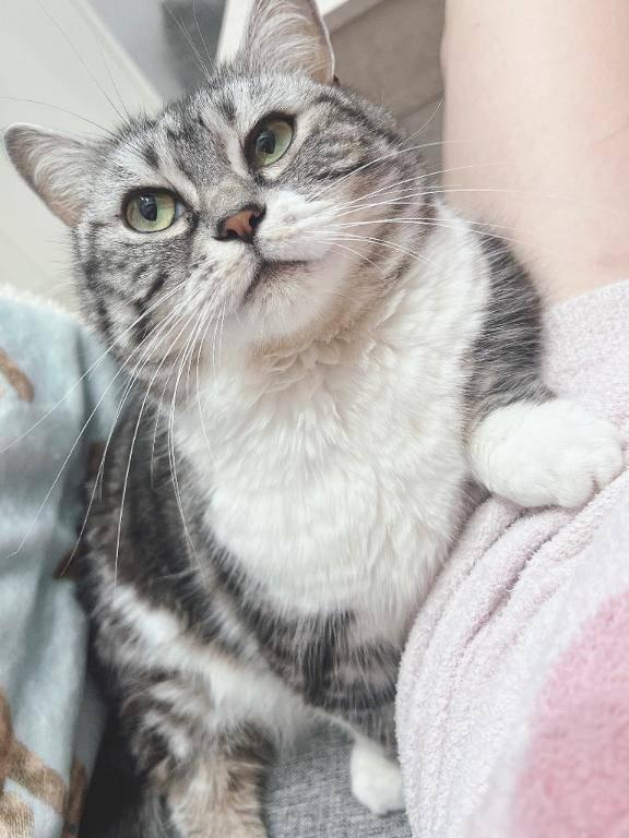 写メ日記サムネイル