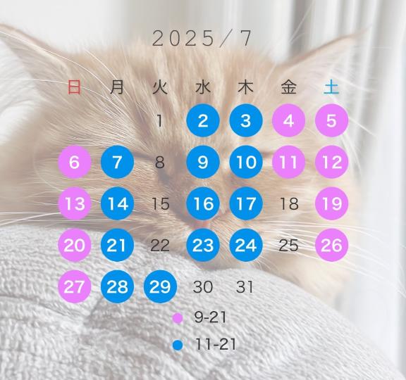 写メ日記サムネイル