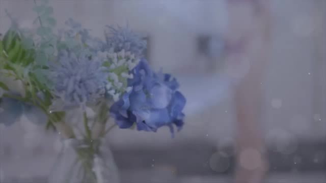 【PLT】SUZU TAKEYAMA