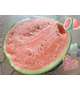 🍉はつもの🍉