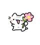 今日は