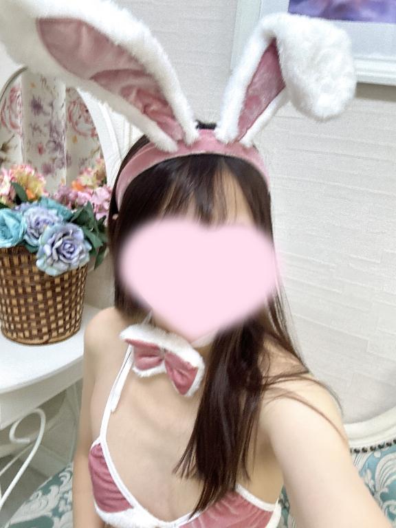 出勤🐇
