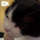猫好き集合!!