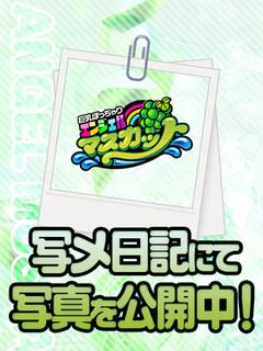 エンジェルマスカット デリヘル EMA