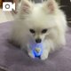ラスト1枠だよ❣️