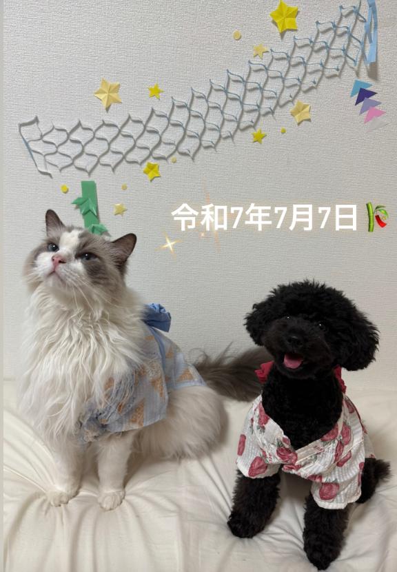 手に届く範囲で✨️