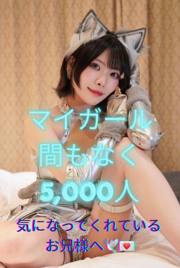 💟注目💟