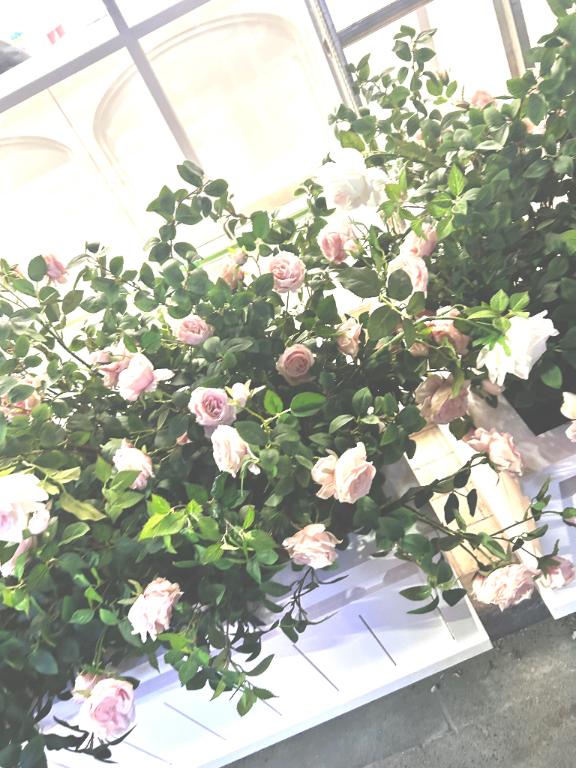 𝐓𝐡𝐚𝐧𝐤 𝐲𝐨𝐮 -💕💌