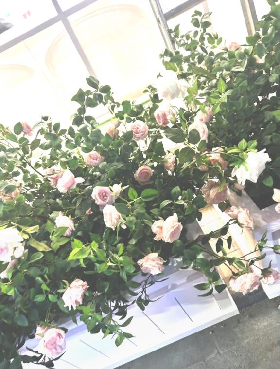 𝑻𝒉𝒂𝒏𝒌 𝒚𝒐𝒖🎀💌✨️