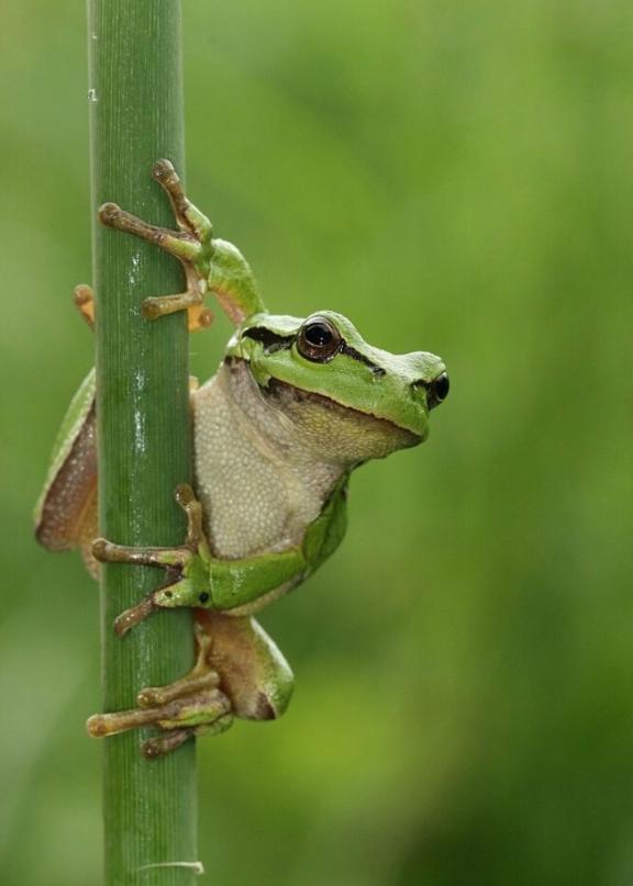 🐸伝説回??※一部ゲロ注意📸