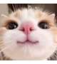 おはよう〜🐈🐾💕