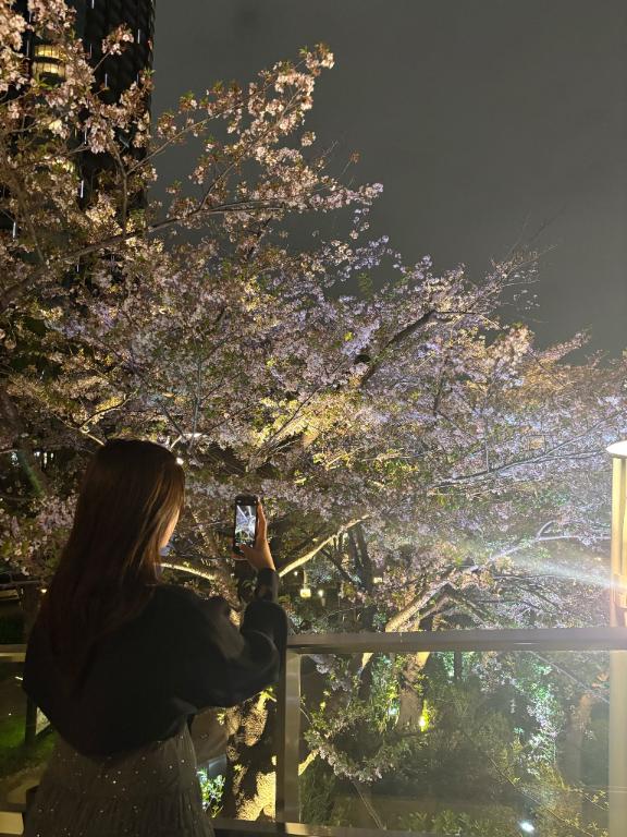 お花見①