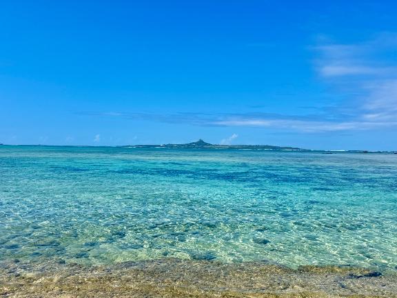 11月28日(金)おやすみいただきます。