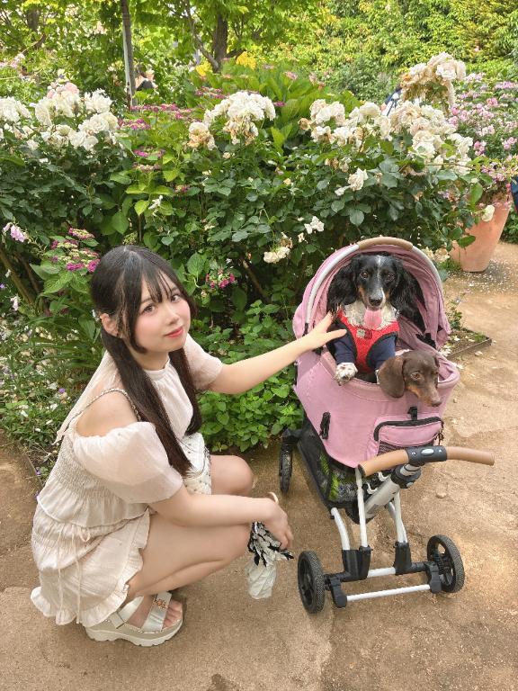 ⚜️本日残り2枠