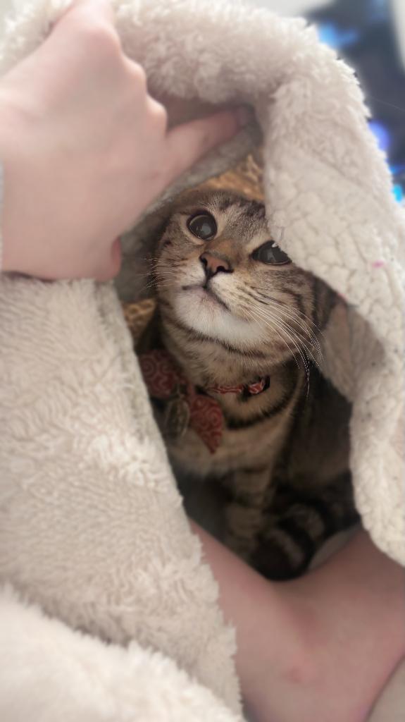 ごめんなさい、😭