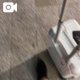 ありがとう🩷