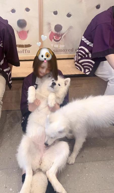写メ日記サムネイル