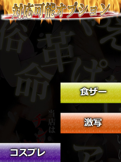 性の極み 技の伝道師 ver. 匠 上門服務 AIRU