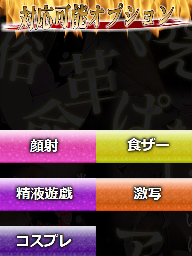 性の極み 技の伝道師 ver. 匠 上門服務 NIKORU