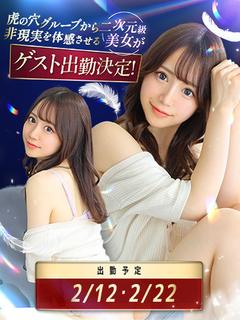 八九寺まよいaka虎の穴