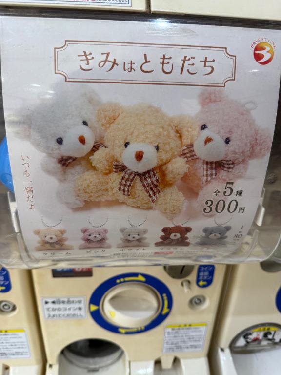 出勤します‼️