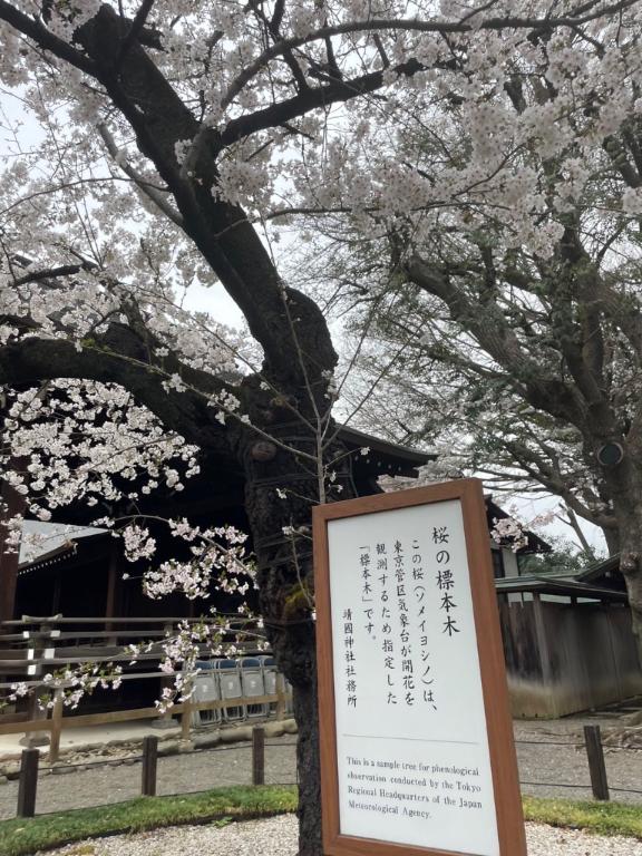 春はすぐそこ🌸