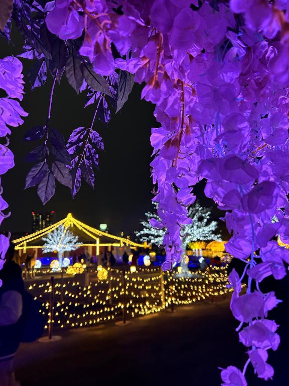 💚今月の予定💚