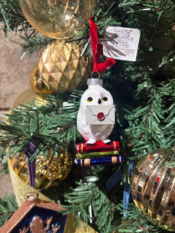 教えて欲しいよ〜🥺