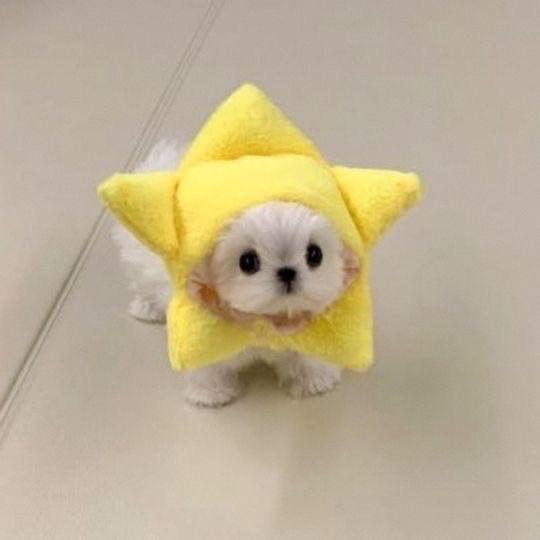 読んでね💡