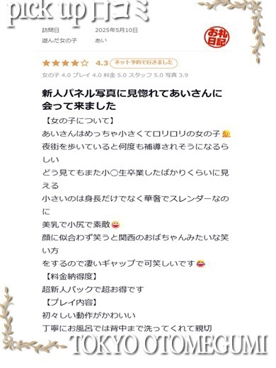 ときめき純情ロリ学園～東京乙女組　新宿校 데리헤루 AI