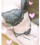 スペランザのお兄さん♡
