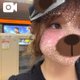 お久しぶりです☺️