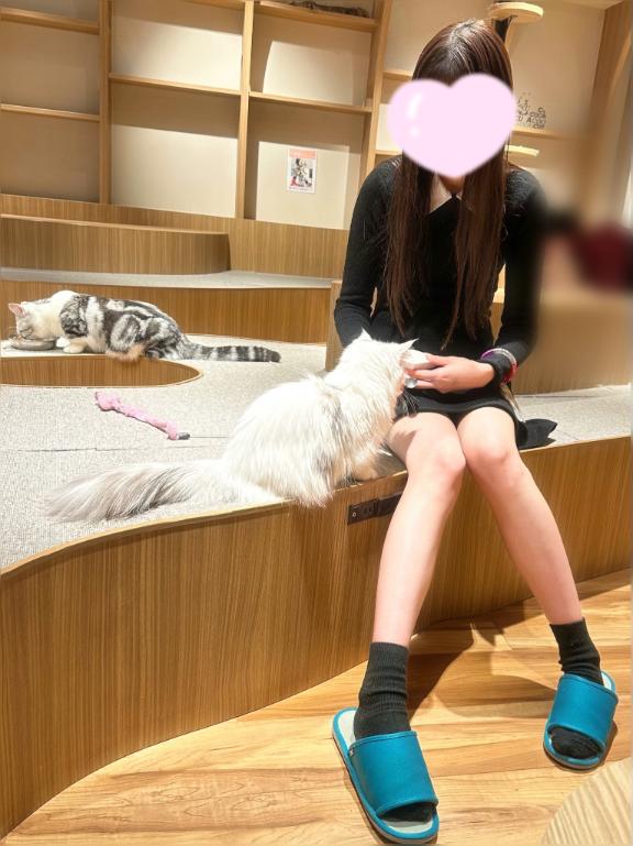 写メ日記サムネイル