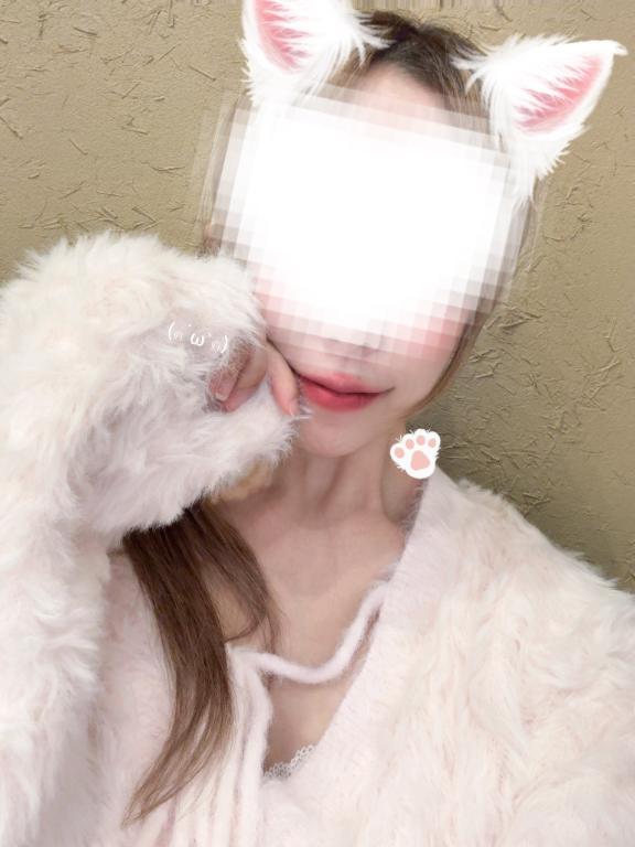初めまして‎🤍🐨