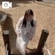 おでかけ🫧